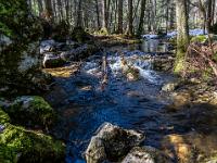 Am munteren Frillenseebach